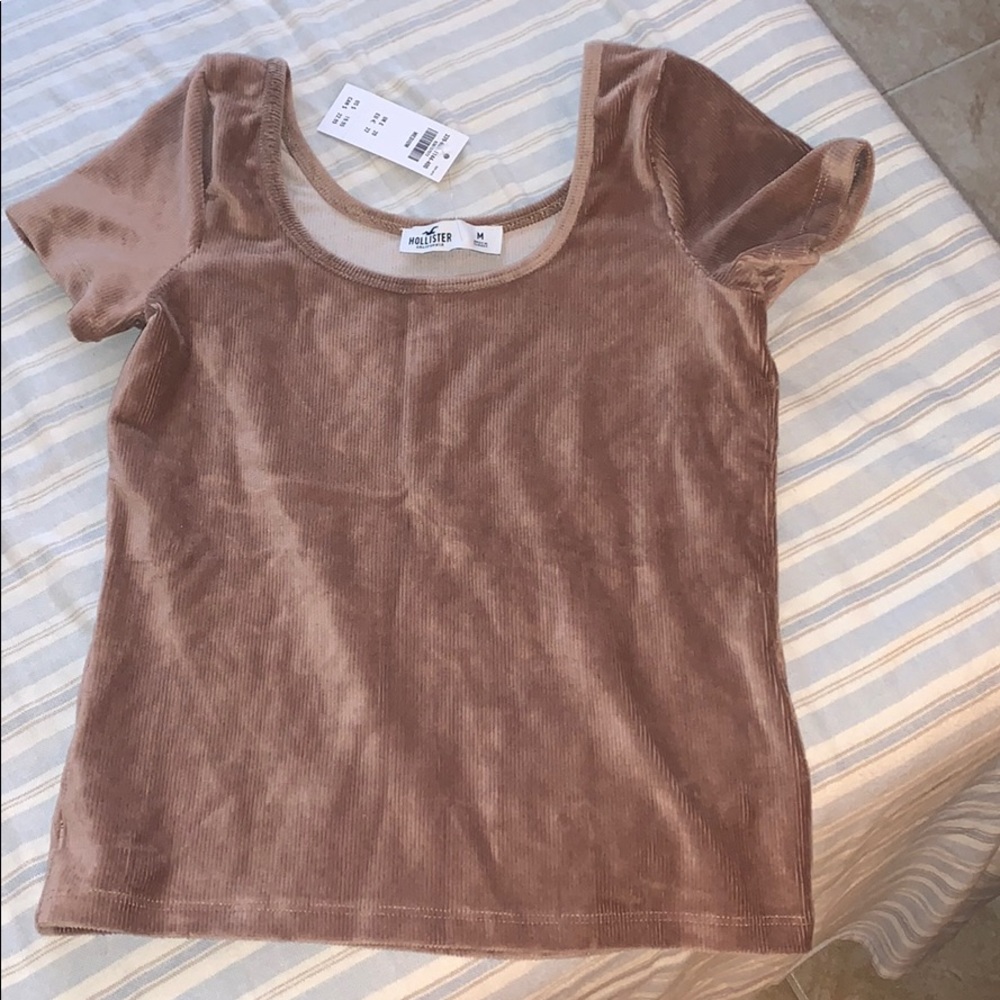 velvet shirt from hollister
